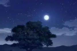 亚博体育平台-cba通报总决赛后掌掴打人事件