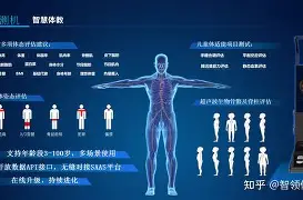 窗口期体能课后，印第安纳步行者战术微调备战葡超，底气十足，资深球员宣示担当